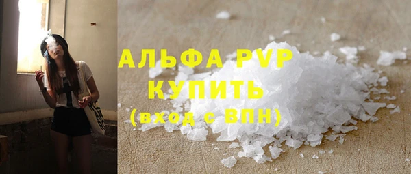 стаф Алексин