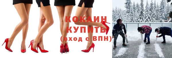 стаф Алексин