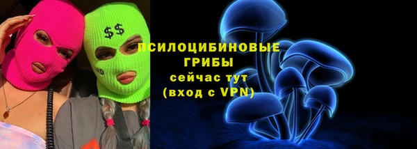 a pvp Алзамай