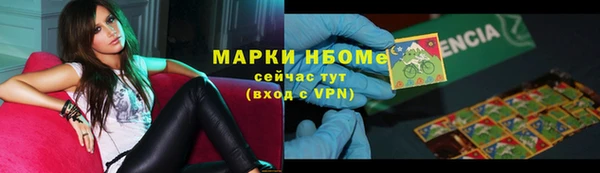 стаф Алексин