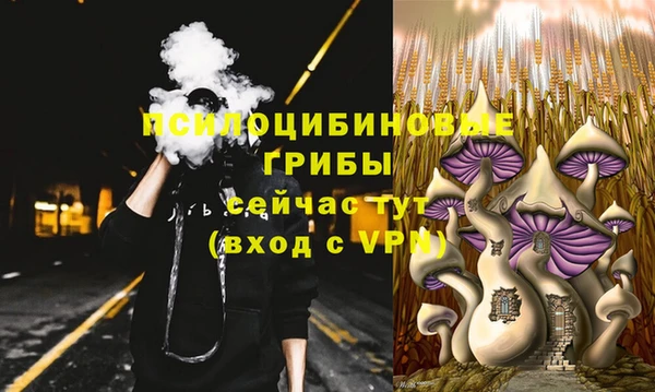 стаф Алексин